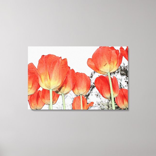Toile belles fleurs de tulipe rouge (Recto)