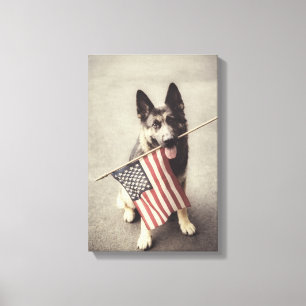 Toile Berger Allemand Avec Drapeau US