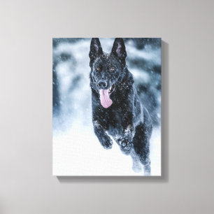 Toile Berger allemand noir dans la couverture de duvet d
