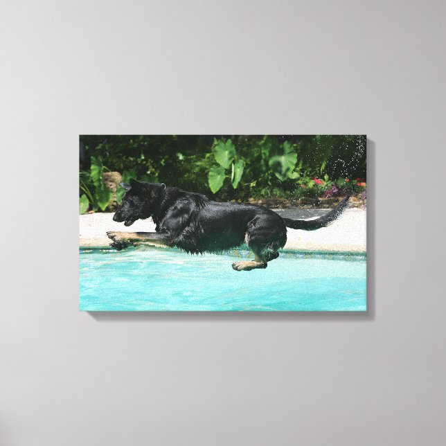 Toile berger allemand sauter dans l'eau (Recto)