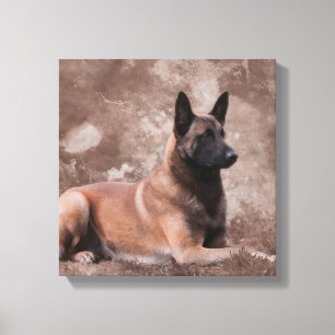 Toile Berger belge malinois - Mechelaar