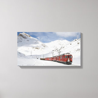 Toile Bernina