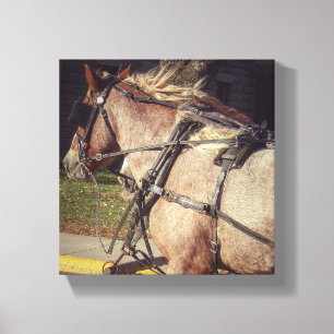 Toile Beuatiatiative Horse