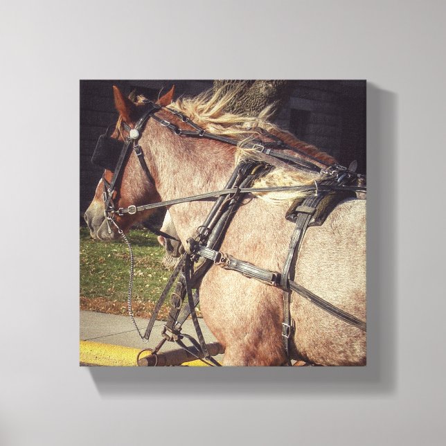 Toile Beuatiatiative Horse (Recto)