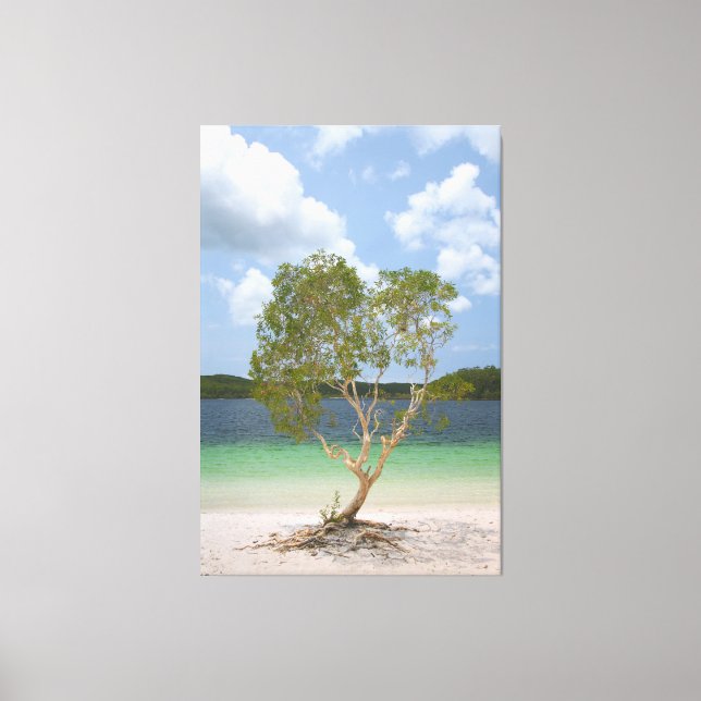 Toile BILLABONG ARBRE 40x60 (Recto)