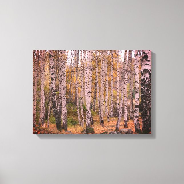 Toile Birch Forrest Autumn Photo Single (Recto)