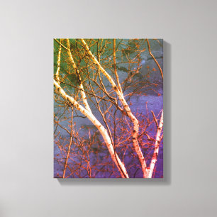 Toile Birch Tree blanc contre le ciel bleu nature Abstra