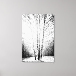 Toile Birch Trees Dans La Forêt D'Hiver