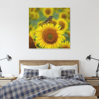 Toile Bird on Sunflower - Photographie de la nature Impr