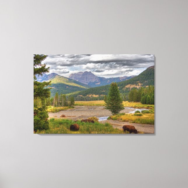 Toile Bison de Yellowstone (Recto)
