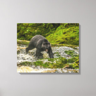 Toile Black Bear Fishing   Qua Creek Colombie-Britanniqu