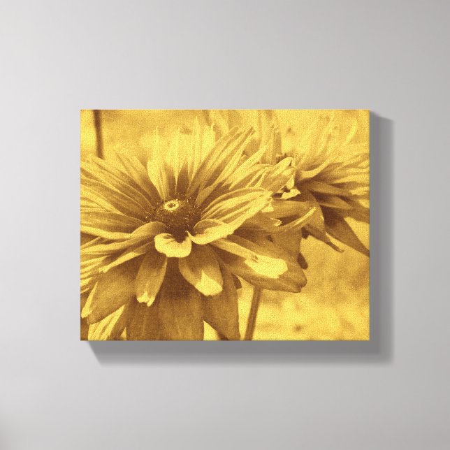 Toile Black Eyed Susan Flowers Sepia Vieille apparence V (Recto)