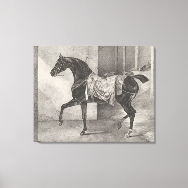 Toile "Black Horse Tethered" de Théodore Gericault (Recto)