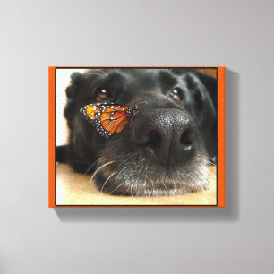 Toile BLack Lab Chien Avec Papillon