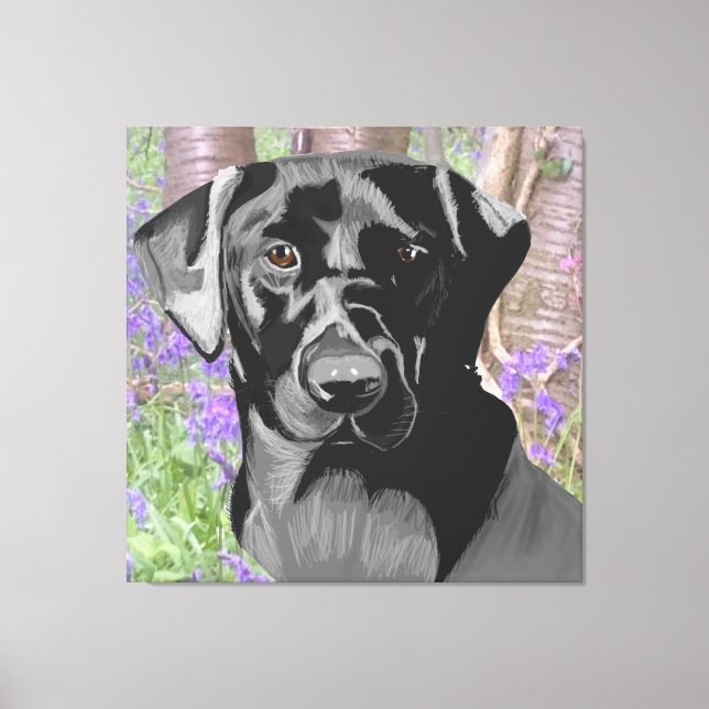 Toile Black Labrador dans un bois de Bluebell (Recto)