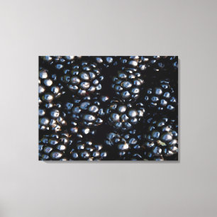 Toile Blackberry