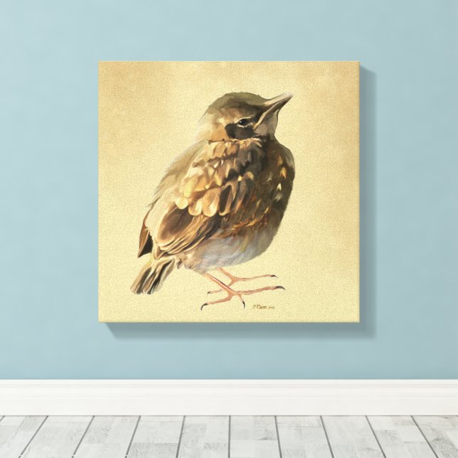 Toile Blackbird Fledgling in Sun (Insitu (Plancher de Bois))