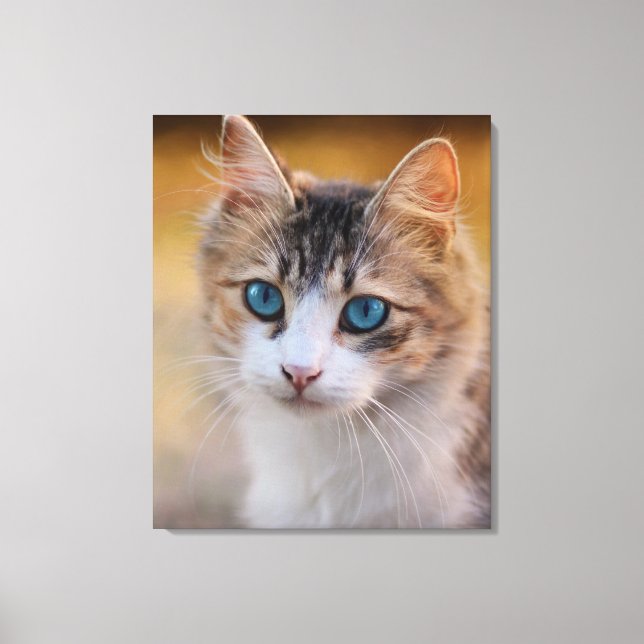 Toile Bleu - chat à l'oeil (Recto)