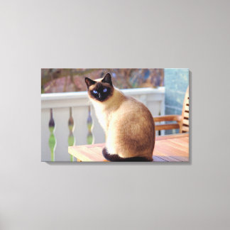 Toile Bleu de la Pêche - Chat à l'oeil