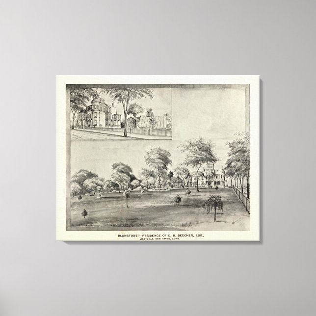 Toile Blonstone, Westville (Recto)