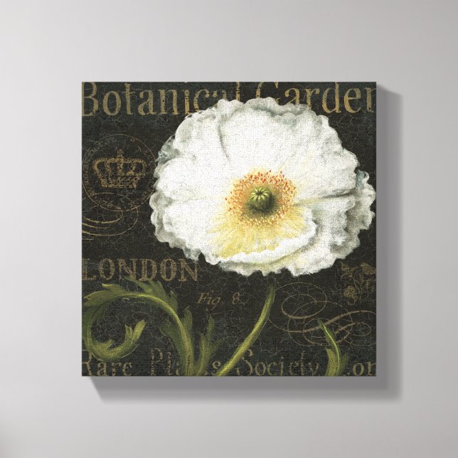 Toile Blossom blanc (Recto)