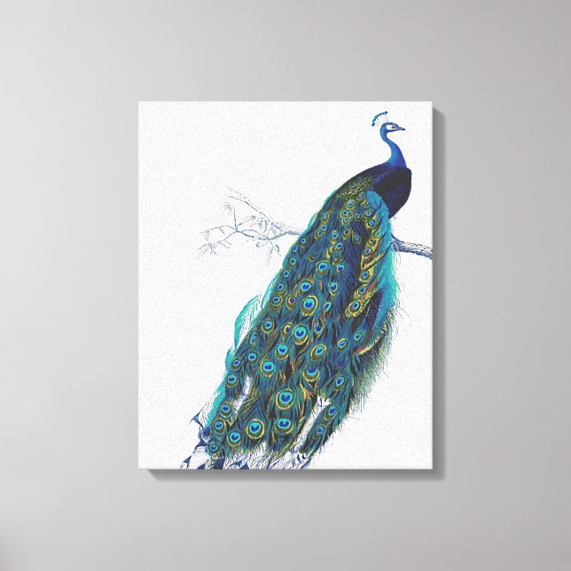 Toile Blue Peacock with beautiful tail feathers (Recto)