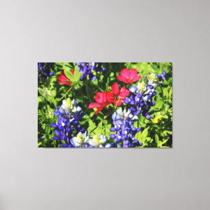 Toile Bluebonnets