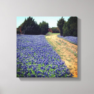 Toile Bluebonnets Dirt Road Imprimer