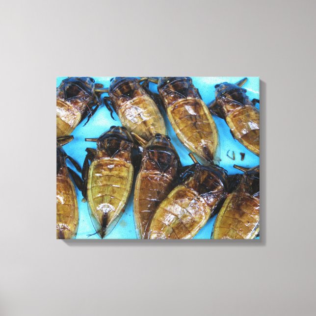 Toile Bogue d'eau géante frite (Maeng Daa) ... Alimentat (Recto)