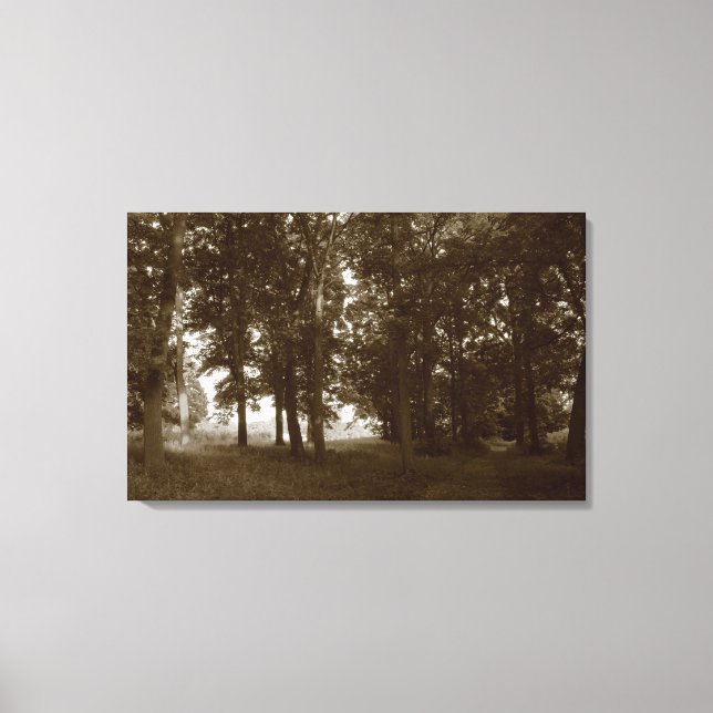 Toile Bois, Bute Park Cardiff - Sepia tonifié (Recto)