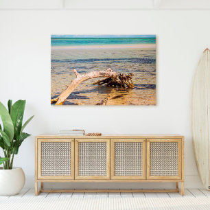Toile Bois de Driftwood sur Florida Keys Bahia Honda Bea