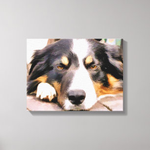 TOILE BORDER COLLIE