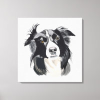 Bordure noire et blanche Collie Nouvelle conceptio