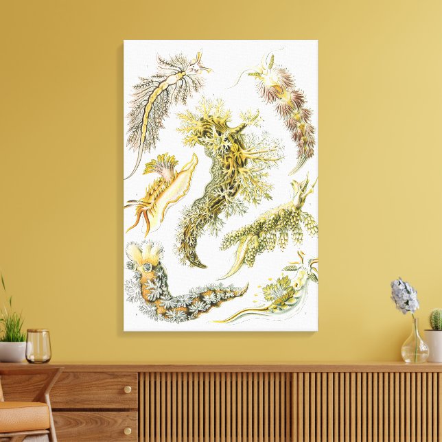 Toile Boues de mer par Ernst Haeckel, Nudibranchia Vinta (Insitu(Salon))