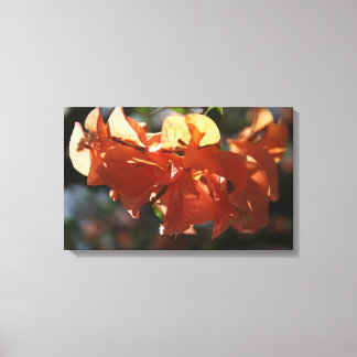 Toile Bougainvilliers (Peach Closeup)