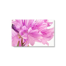 Bouton de mise à jour