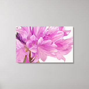 Toile Bouton de mise à jour