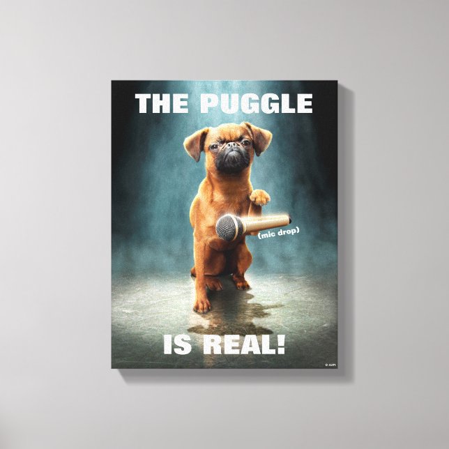 Toile Bouton Puggle (Recto)