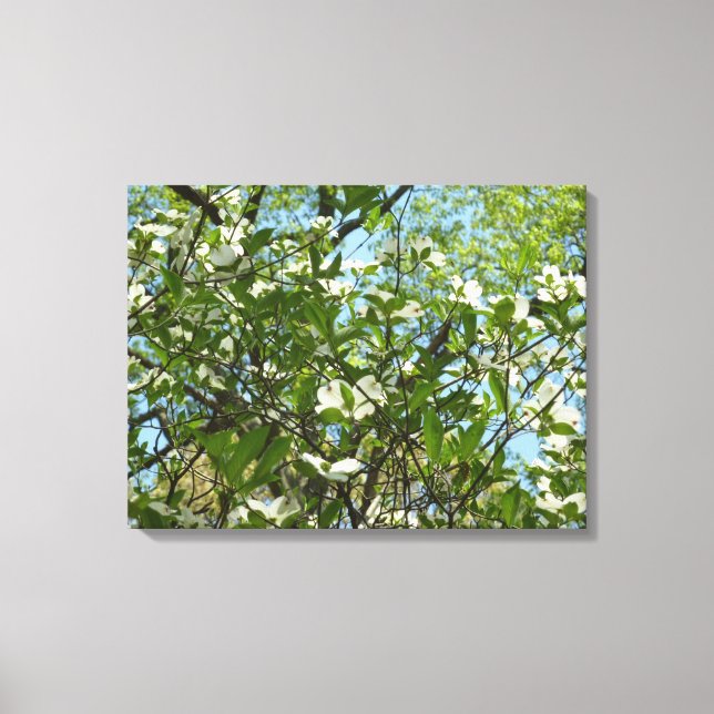 Toile Branche of Dogwood Blossoms Spring Trees (Recto)