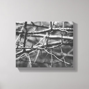 Toile Branches avec des épines