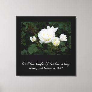 Toile Bref, c'est la vie, mais l'amour est long (citatio