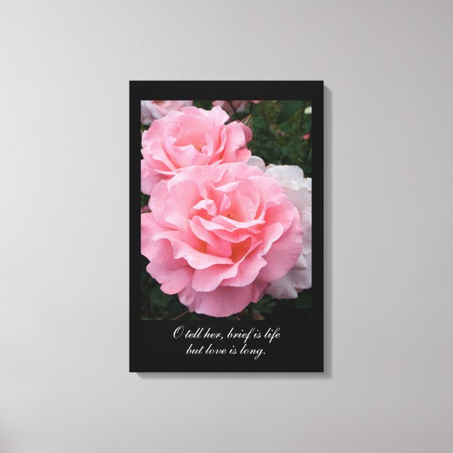 Toile Bref, c'est la vie, mais l'amour est long (citatio (Recto)