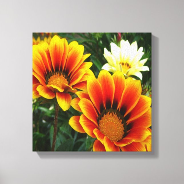 Toile Bright African Daisies (Recto)