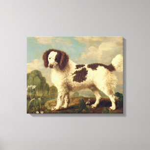 Toile Brown et blanc Norfolk ou Water Spaniel, 1778 (oi