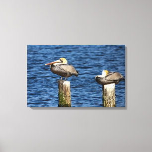 Toile Brown Pélican Paire Roosage sur Posts Canvas Impri