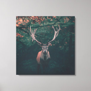 Toile Buck Deer animal sauvage