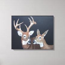 Buck et Doe Whitetail Deer