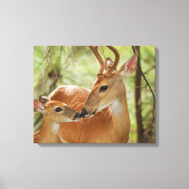 Toile Buck Whitetail Et Bonification De La Faune (Recto)