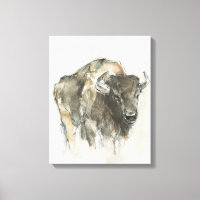 Buffle américain I