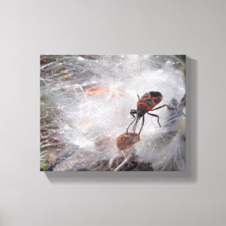 Toile Bug de l'algue sur l'algue